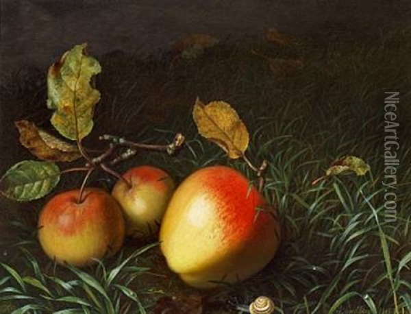 A Forest Floor With Apples And A Snail Oil Painting - Adamine Marie Elisabeth Sindberg
