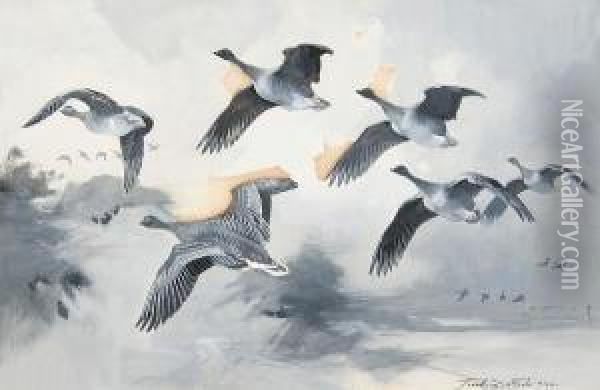 Geese In Flight Oil Painting - Frank Southgate