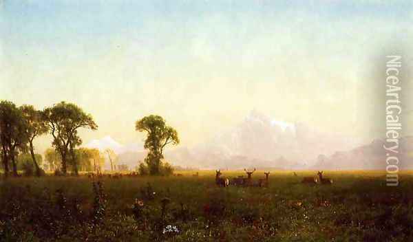 Deer Grazing Grand Tetons Wyoming Oil Painting - Albert Bierstadt