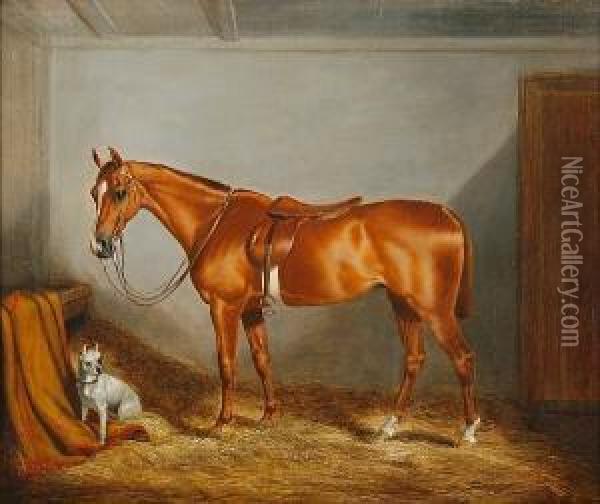 A Chestnut Horse And A White Terrier In A Stable Interior Oil Painting - Robert Nightingale