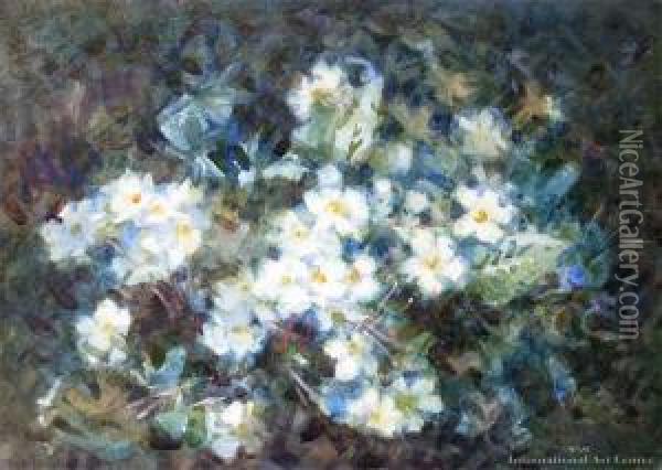 White Flowers (primroses) Oil Painting - Margaret Olrog Stoddart