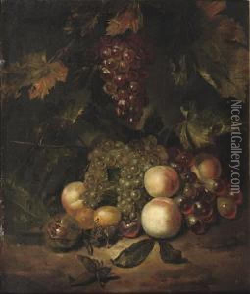 Black And White Grapes, Peaches, Plums, Chest- And Hazelnuts On A Forest Floor Oil Painting - Willem Frederik van Royen