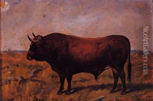 Toro Oil Painting - Luis Julia Y Carrere
