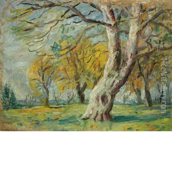 Autumn Trees Oil Painting - Andor Basch