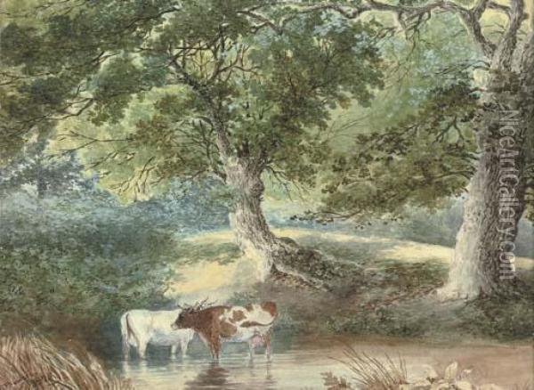Cattle Watering Oil Painting - Stephen J. Bowers