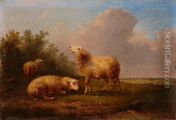Sheep In A Meadow Oil Painting - Auguste Coomans