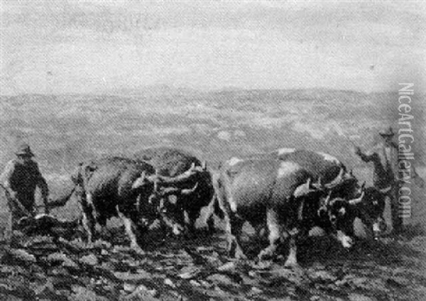 Oxen Plowing The Field Oil Painting - George Arthur Hays