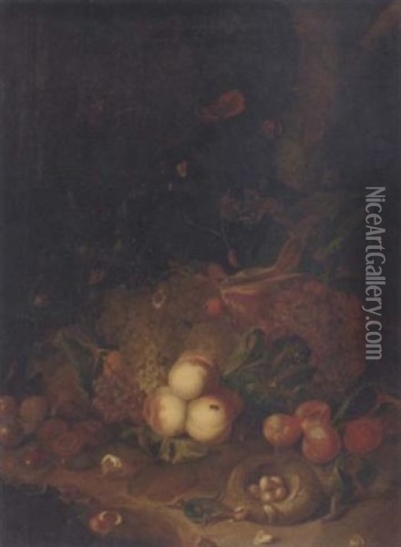 Apples, Pears, Grapes, Corn, Pomegranates, A Birds Nest With Eggs And Butterflies, A Lizard And Other Insects Oil Painting - Rachel Ruysch