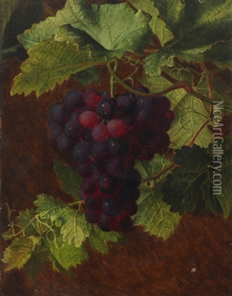 A Cluster Of Grapes Oil Painting - Otto Didrik Ottesen