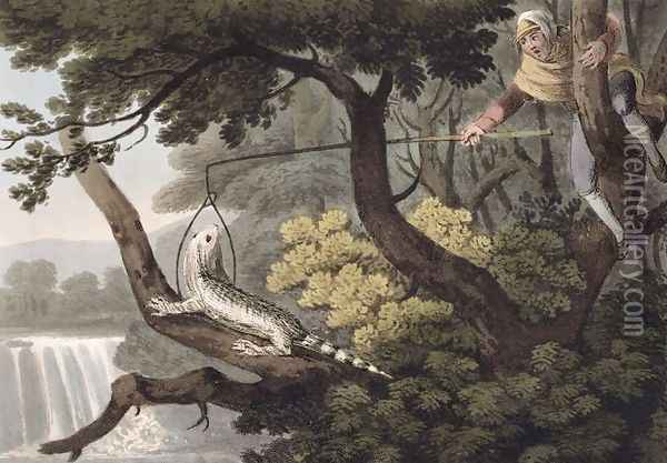 Mexican Lizard Catcher, 1813 Oil Painting - John Heaviside Clark