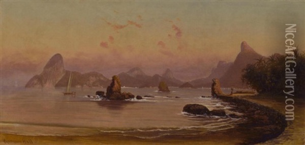 Bay Of Rio De Janeiro Oil Painting - Cyrenius Hall