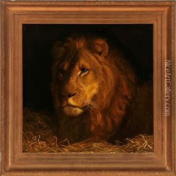 A Male Lion Oil Painting - Valdemar Irminger