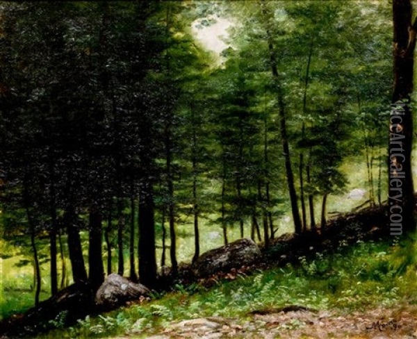 Woodland Scene Oil Painting - Nelson Augustus Moore