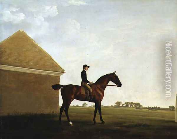 Turf, c.1765 Oil Painting - George Stubbs