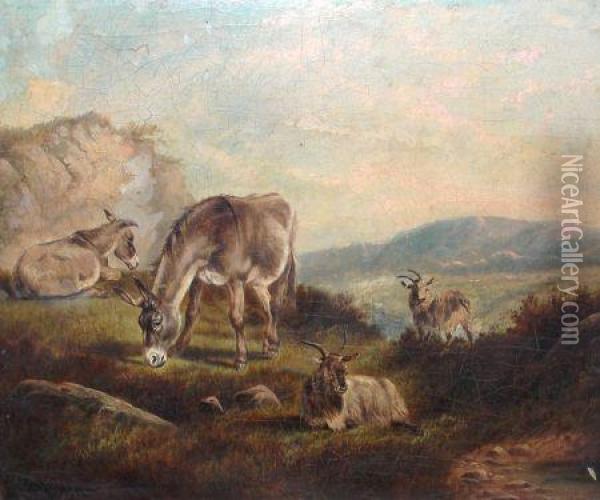 Donkey And Goats Grazing In Landscape Oil Painting - William Perring Hollyer