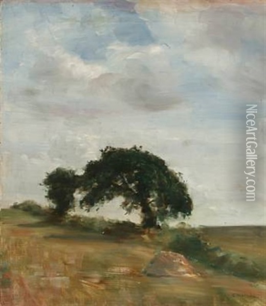 Landscape With Old Trees And High Sky Oil Painting - Carl Vilhelm Holsoe