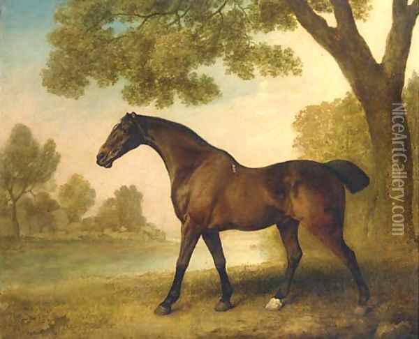 A bay hunter in a wooded river landscape Oil Painting - George Stubbs