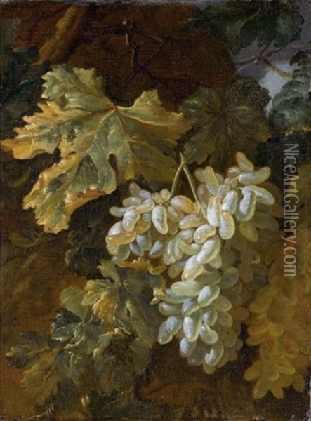 Uva Oil Painting - Bartolomeo Castelli the Elder