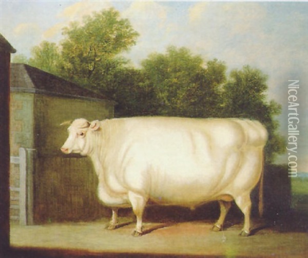 A Prize White Bull In A Farmyard Oil Painting - William Henry Davis