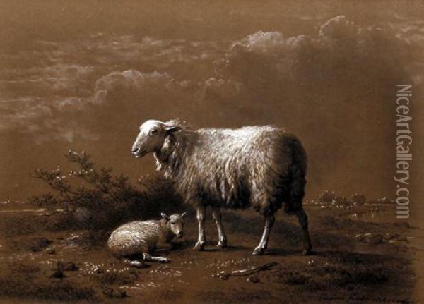 Study Of Sheep And Lamb Oil Painting - Eugene Joseph Verboeckhoven