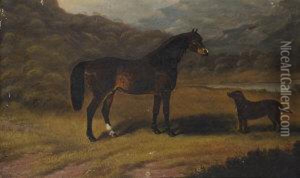 Connemara Pony And Water Spaniel In A River Landscape Oil Painting - Samuel Spode