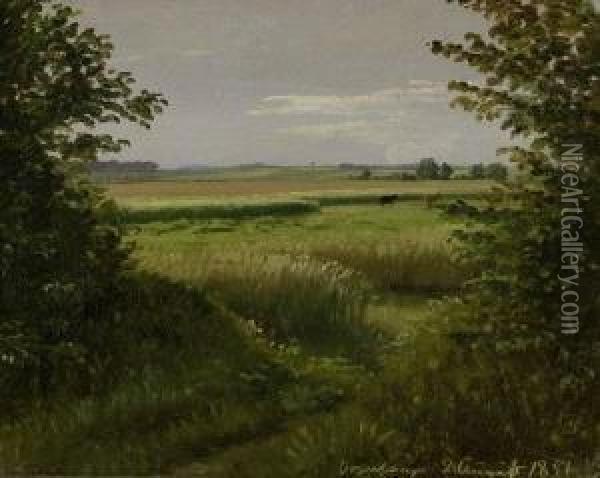 Sommerwiesen Bei Vognserup In Vestsjaelland Oil Painting - Peter Christian T. Skovgaard