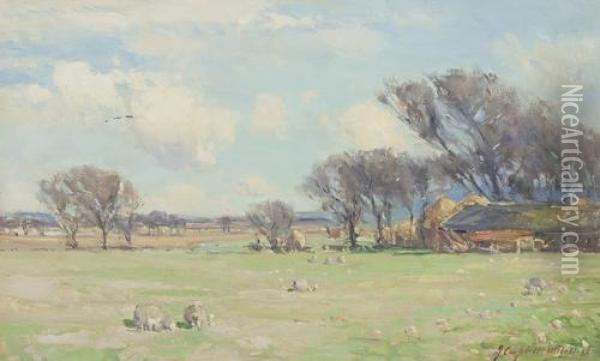 Summer Pastures Oil Painting - James Campbell Mitchell