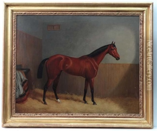 A Bay Racehorse Within A Stable With Initials To Blanket Bch Oil Painting - John Paul