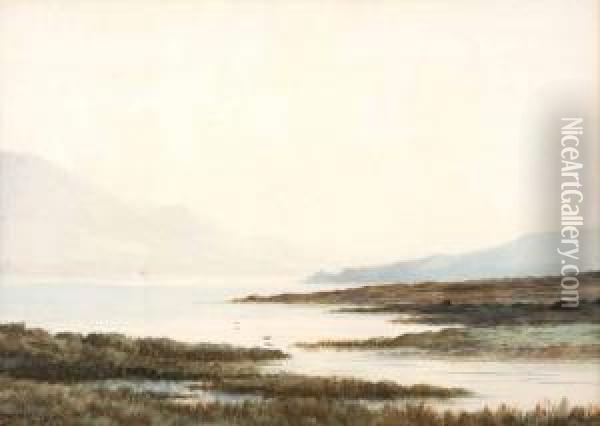 Port Of Dhu Lough 
Mayo Oil Painting - Douglas Alexander