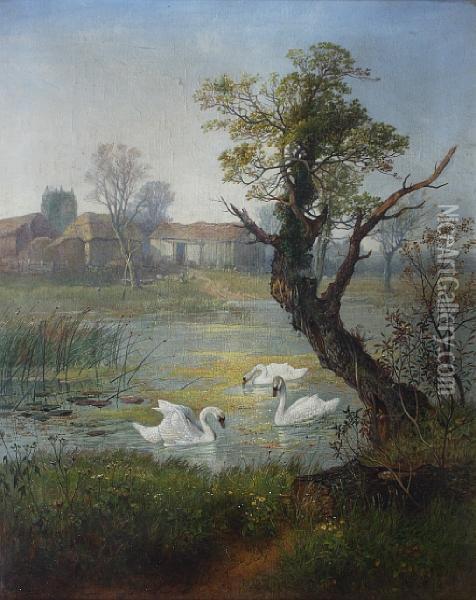 Swans Feeding In A River Oil Painting - Paul H. Ellis