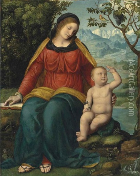 Madonna Of The Grapevine Oil Painting - Bernardino Luini