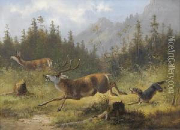 Hirsch Vom Hund Gejagt Oil Painting - Moritz Ii Muller