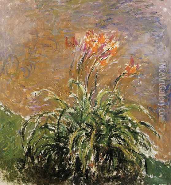 Hamerocallis Oil Painting - Claude Oscar Monet