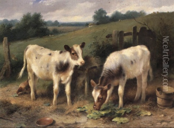 Calves At Feeding Time Oil Painting - Walter Hunt