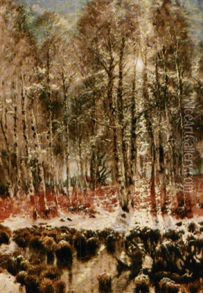 Lavtstaende Sol, Der Skinner Gennem Slanke Birkestammer, Vinter Oil Painting - Thorvald Simeon Niss