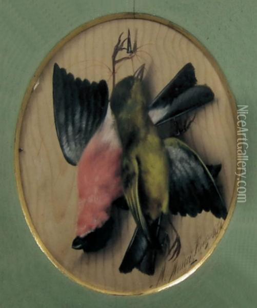 Still Lives Each Depicting Two Differing Dead Birds Hung On A Wooden Board Oil Painting - Michaelangelo Meucci