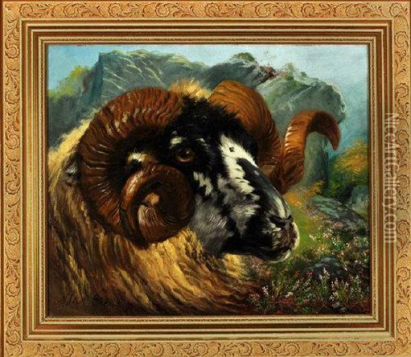 A Portrait Of A Ram Oil Painting - Wilson Hepple