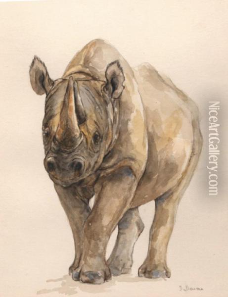 Rhinoceros Vu De Face Oil Painting - Dominique Vivant Denon