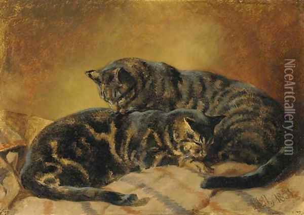 Two cats Oil Painting - John Frederick Herring Snr
