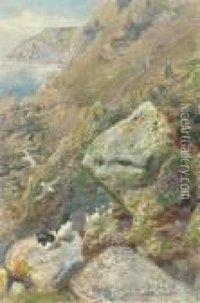 On Lundy Island, Devon Oil Painting - Henry Moore