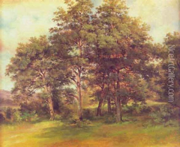 Sonnenbeschienene Waldlichtung Oil Painting - Carl Ebert