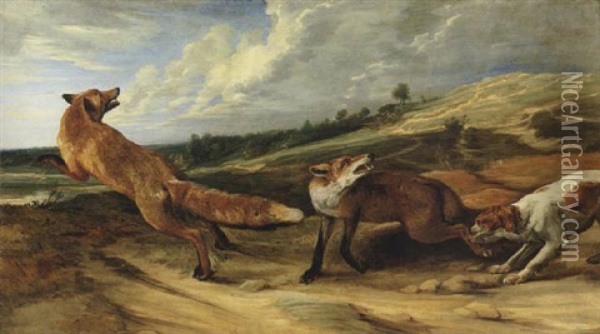 A Spaniel Attacking A Vixen And Dog Fox In An Open Landscape Oil Painting - Pieter Boel