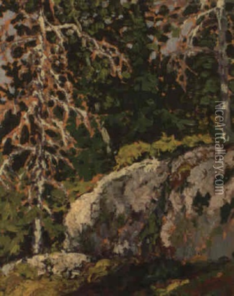 Lichen Oil Painting - Francis Hans Johnston