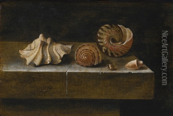 Still Life With Sea Shells Oil Painting - Adriaen Coorte