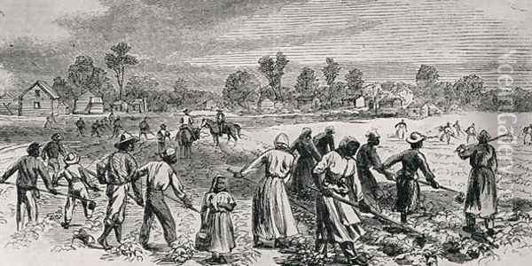 Labour in the Cotton Fields, Hoeing the Young Plants, illustration from Harpers Weekly, 1867, from The Pageant of America, Vol.3, by Ralph Henry Gabriel, 1926 Oil Painting - Alfred R. Waud