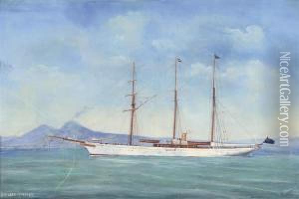 The Steam Yacht 
Lady Torfrida Oil Painting - Antonio de Simone