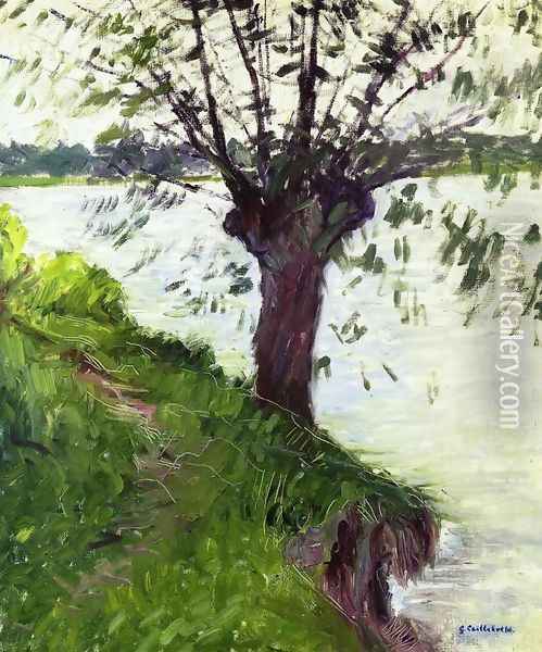 Willow On The Banks Of The Seine Oil Painting - Gustave Caillebotte
