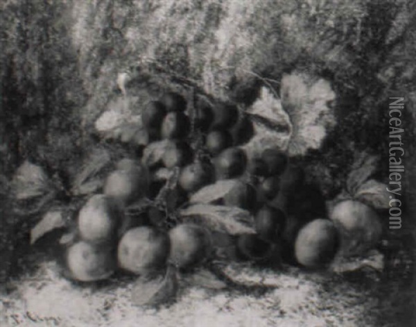 Fruchtestilleben Mit Trauben Und Pflaumenzweigen Oil Painting - George Clare