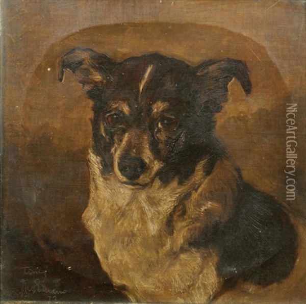 Portrait Of Tiney Oil Painting - John Emms