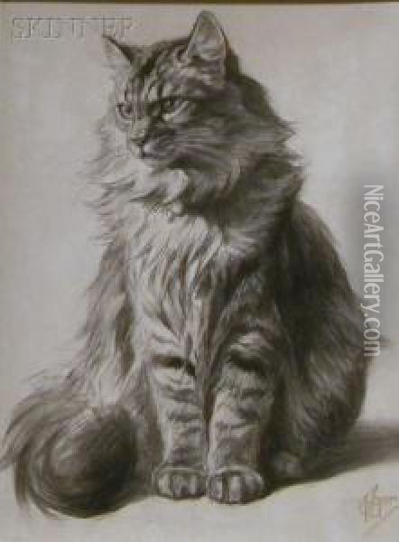Study Of A Tabbycat Oil Painting - Ferdinand Oger